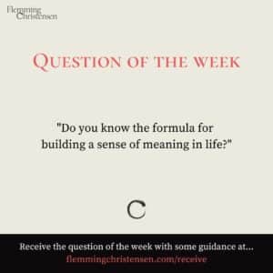 Question of the week - Buildingg a sense of meaning - Flemming Christensen