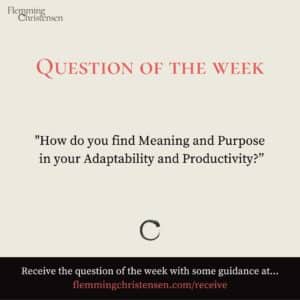 Question of the week - Adaptability and Productivity - Flemming Christensen